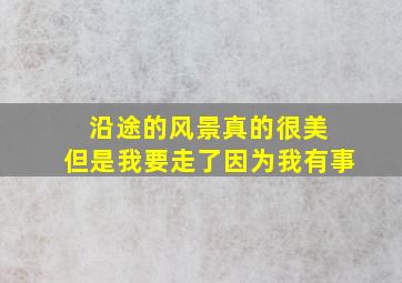 沿途的风景真的很美 但是我要走了因为我有事